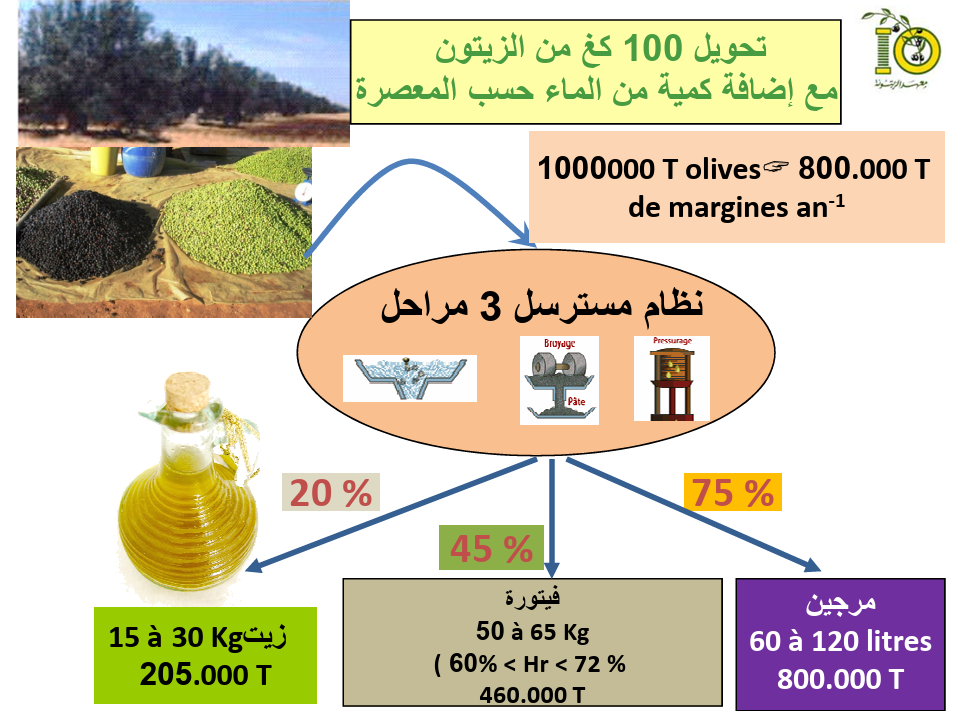 L’or vert a un secret noir : 5 vérités surprenantes sur les "margines" de l’olive - Image 2