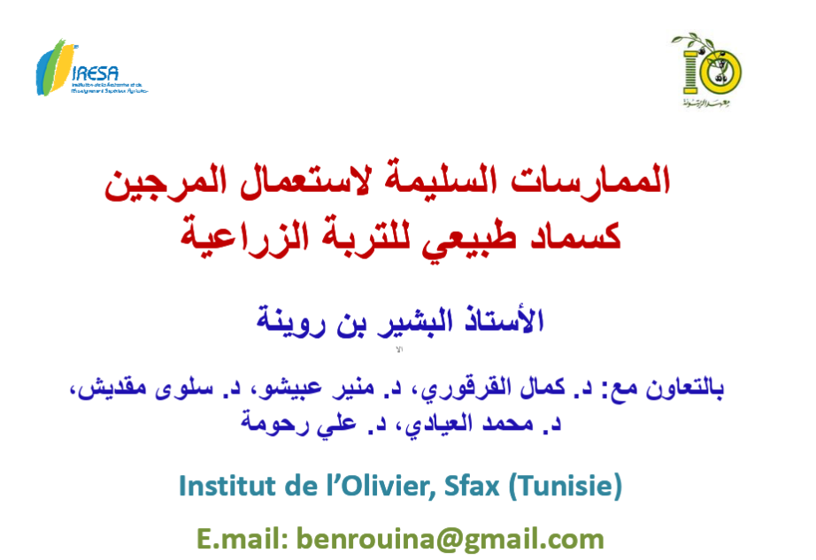 L’or vert a un secret noir : 5 vérités surprenantes sur les "margines" de l’olive