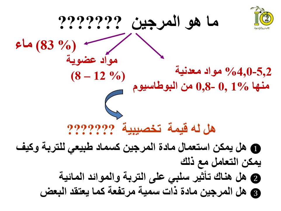 للذهب الأخضر سرٌّ أسود: 5 حقائق مفاجئة عن "مرجين" الزيتون - Image 5