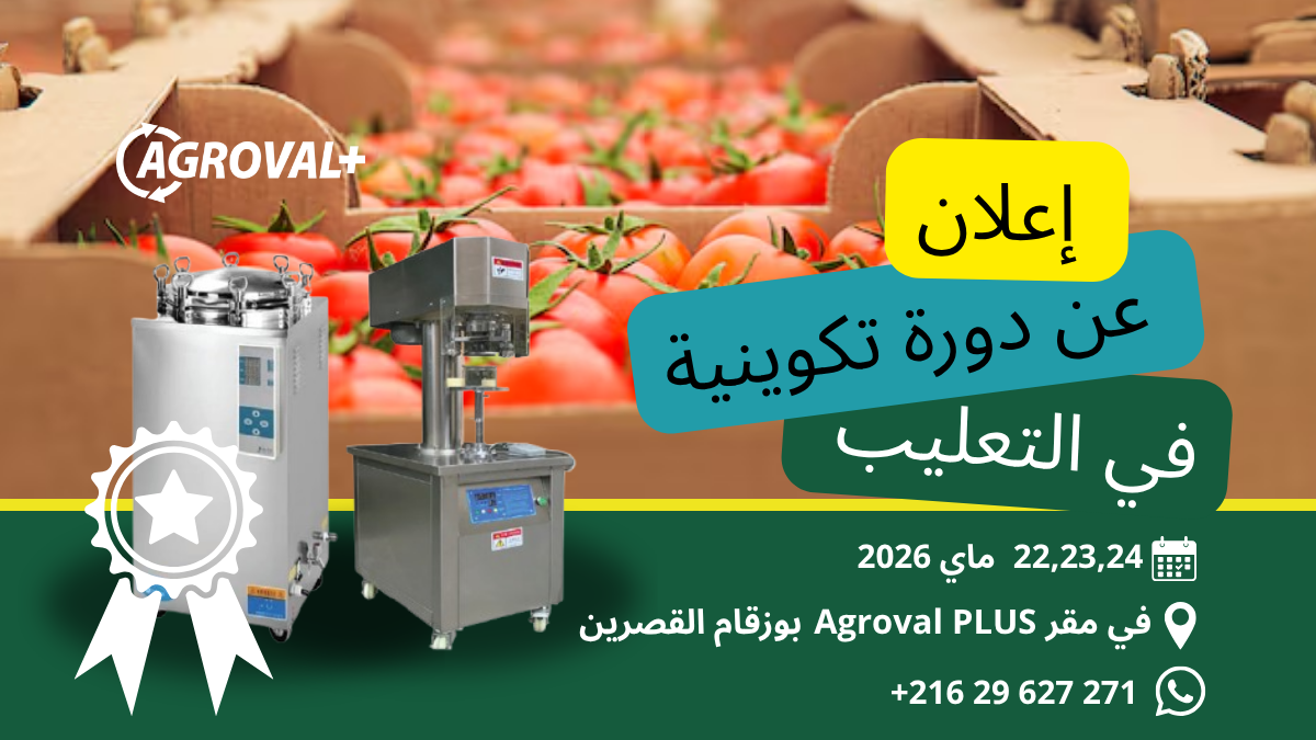 📢 إعلان عن دورة تكوينية في التعليب